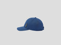 BMW verlassing pet blauw