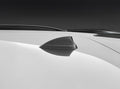BMW M Performance antenne afdekking aramid - i Modellen - Van Poelgeest BMW & MINI (1)