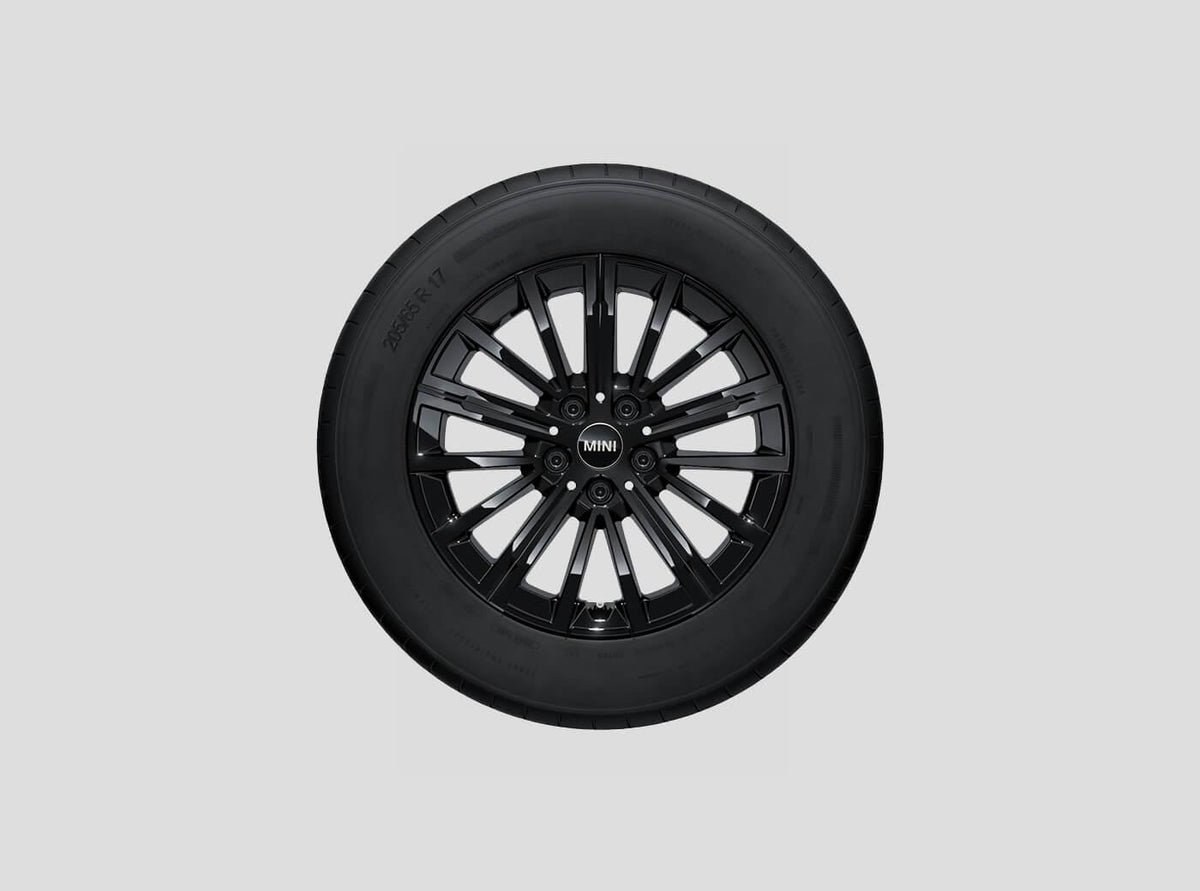 Winterwielset 17" V-SPOKE 833