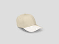 MINI Car Face Detail Cap - Silver / White