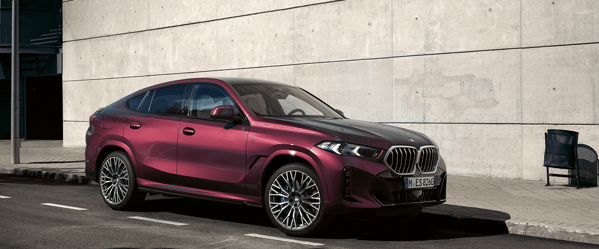 x6 velgen - Van Poelgeest Shop