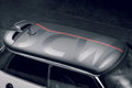 MINI Sportantenne
